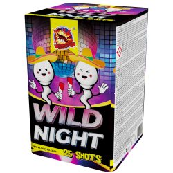 CLE4021 - Wild night
